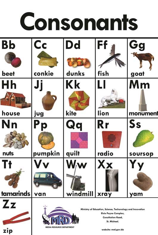 Overview Media Resource Department Media Resource Department