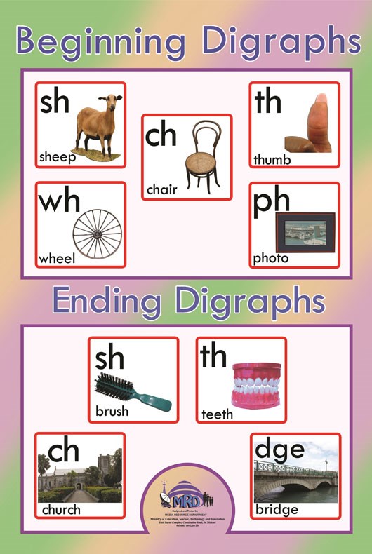 Overview - Media Resource Department - Media Resource Department